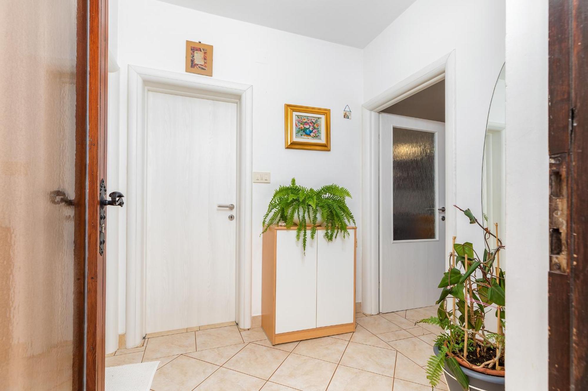 Apartment Milena Pola Esterno foto